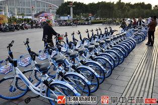 玉林自行车爆料视频,揭秘自行车行业背后的惊人真相